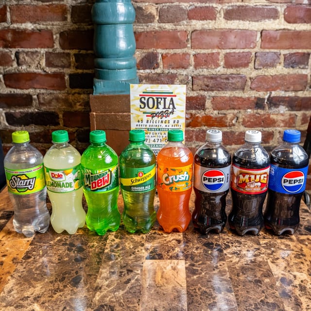 Soda Bottle (20 oz Regular).